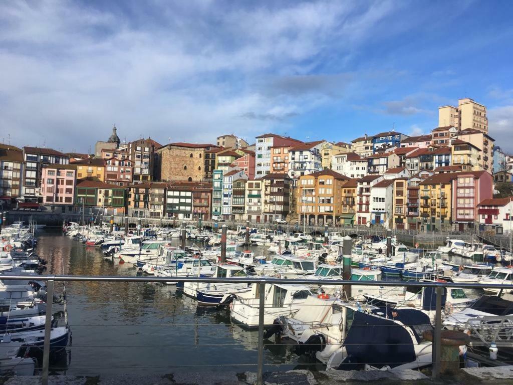 Apartamentos Urdaibai 1 Bermeo Extérieur photo